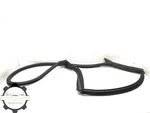2018-2024 Audi A5 S5 F5A Sportback Right Pass Rear Door Body Weatherstrip Seal. Fixed Price $39.99.