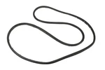 Genuine Gm Front Passenger Side Door Weatherstrip 84234954. Fixed Price $79.18.