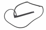 Genuine Gm Door Weather-strip 86796999. Fixed Price $97.69.