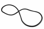 Genuine Gm Driver Side Front Door Weatherstrip 95190186. Fixed Price $101.29.
