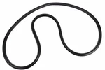 Genuine Gm Passenger Side Rear Door Weatherstrip 23271822. Fixed Price $140.91.