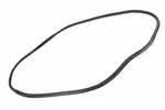 Genuine Gm Surround Weather-strip 87846866. Fixed Price $126.97.
