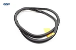 2019 - 2025 Volkswagen Jetta Rear Left Side Door Body Weatherstrip Seal Oem. Fixed Price $32.99.