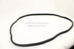 2021-2023 Hyundai Elantra Front Left Driver Side Doorway Weatherstrip Seal Oem. Fixed Price $65.00.