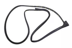 Genuine Gm Front Passenger Side Door Weatherstrip 42454858. Fixed Price $49.60.