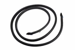 Genuine Gm Passenger Side Rear Door Weatherstrip 15126640. Fixed Price $132.07.