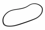 Genuine Gm Front Side Door Weatherstrip 42588069. Fixed Price $85.74.