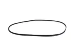 Genuine Mopar Rear Door Body Mounted Weatherstrip Right 68498157AD. Fixed Price $50.45.